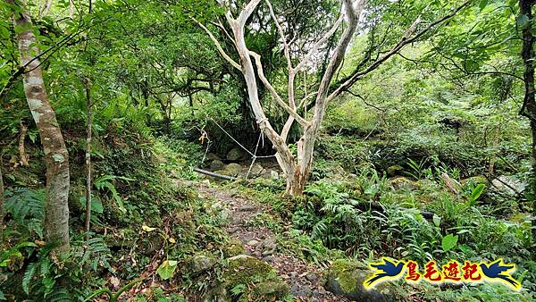 中坑橋-中坑古道西線-中坑西山-內盤山百年土地公廟-中坑古道-張家古厝P形 (20).jpg