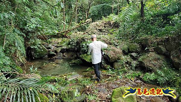 中坑橋-中坑古道西線-中坑西山-內盤山百年土地公廟-中坑古道-張家古厝P形 (25).jpg