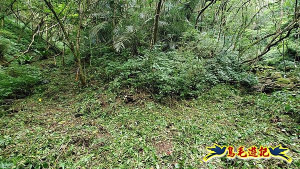 中坑橋-中坑古道西線-中坑西山-內盤山百年土地公廟-中坑古道-張家古厝P形 (28).jpg