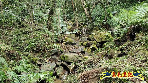 中坑橋-中坑古道西線-中坑西山-內盤山百年土地公廟-中坑古道-張家古厝P形 (27).jpg