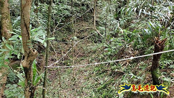 中坑橋-中坑古道西線-中坑西山-內盤山百年土地公廟-中坑古道-張家古厝P形 (31).jpg
