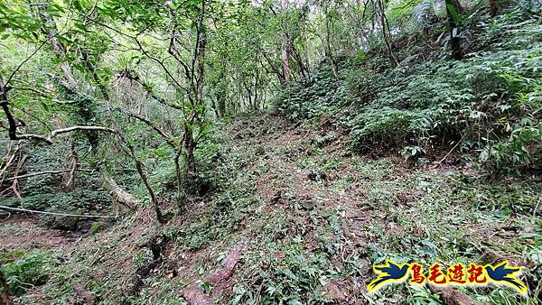 中坑橋-中坑古道西線-中坑西山-內盤山百年土地公廟-中坑古道-張家古厝P形 (33).jpg