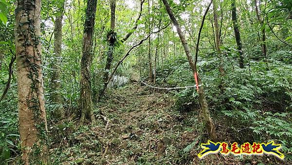 中坑橋-中坑古道西線-中坑西山-內盤山百年土地公廟-中坑古道-張家古厝P形 (34).jpg