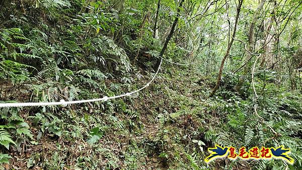中坑橋-中坑古道西線-中坑西山-內盤山百年土地公廟-中坑古道-張家古厝P形 (36).jpg