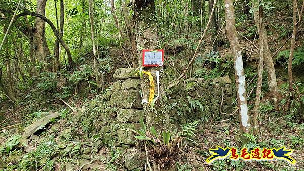 中坑橋-中坑古道西線-中坑西山-內盤山百年土地公廟-中坑古道-張家古厝P形 (39).jpg