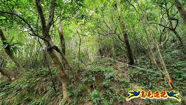 中坑橋-中坑古道西線-中坑西山-內盤山百年土地公廟-中坑古道-張家古厝P形 (40).jpg