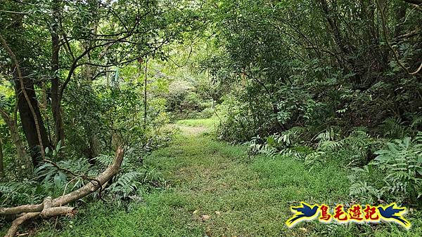 中坑橋-中坑古道西線-中坑西山-內盤山百年土地公廟-中坑古道-張家古厝P形 (38).jpg