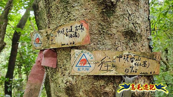 中坑橋-中坑古道西線-中坑西山-內盤山百年土地公廟-中坑古道-張家古厝P形 (44).jpg