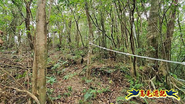 中坑橋-中坑古道西線-中坑西山-內盤山百年土地公廟-中坑古道-張家古厝P形 (46).jpg