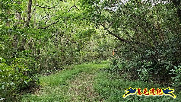 中坑橋-中坑古道西線-中坑西山-內盤山百年土地公廟-中坑古道-張家古厝P形 (42).jpg