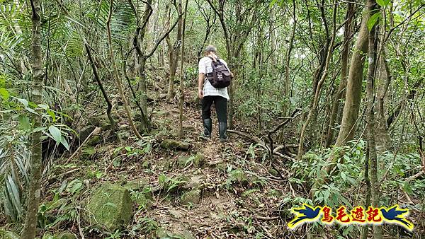 中坑橋-中坑古道西線-中坑西山-內盤山百年土地公廟-中坑古道-張家古厝P形 (45).jpg