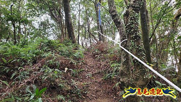 中坑橋-中坑古道西線-中坑西山-內盤山百年土地公廟-中坑古道-張家古厝P形 (47).jpg