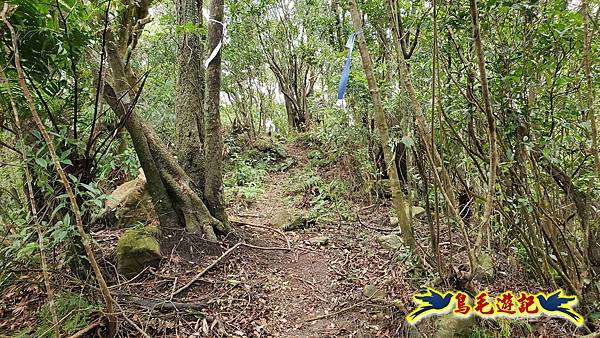 中坑橋-中坑古道西線-中坑西山-內盤山百年土地公廟-中坑古道-張家古厝P形 (50).jpg