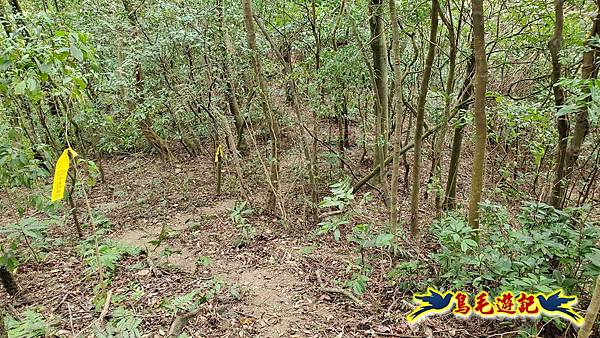 中坑橋-中坑古道西線-中坑西山-內盤山百年土地公廟-中坑古道-張家古厝P形 (48).jpg