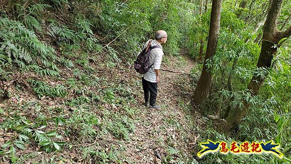 中坑橋-中坑古道西線-中坑西山-內盤山百年土地公廟-中坑古道-張家古厝P形 (58).jpg