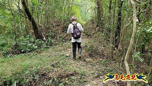 中坑橋-中坑古道西線-中坑西山-內盤山百年土地公廟-中坑古道-張家古厝P形 (54).jpg