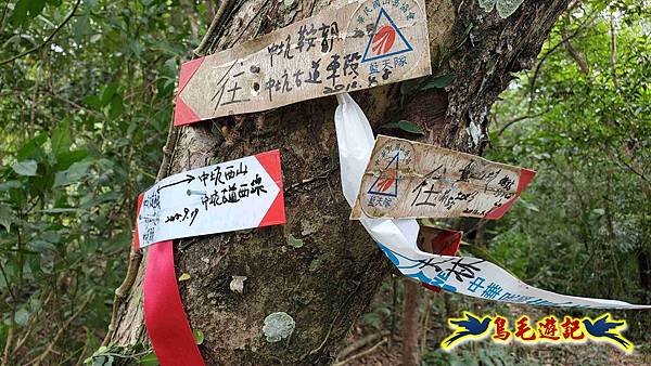中坑橋-中坑古道西線-中坑西山-內盤山百年土地公廟-中坑古道-張家古厝P形 (56).jpg