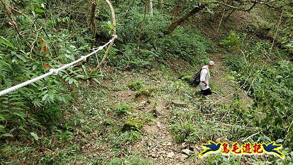 中坑橋-中坑古道西線-中坑西山-內盤山百年土地公廟-中坑古道-張家古厝P形 (59).jpg