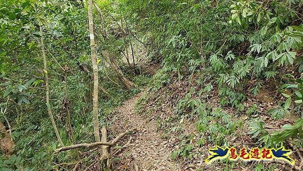 中坑橋-中坑古道西線-中坑西山-內盤山百年土地公廟-中坑古道-張家古厝P形 (64).jpg