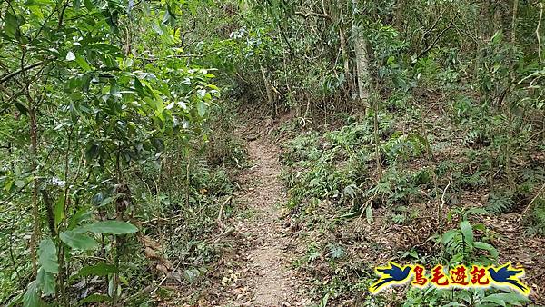 中坑橋-中坑古道西線-中坑西山-內盤山百年土地公廟-中坑古道-張家古厝P形 (62).jpg