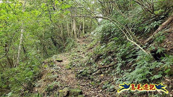 中坑橋-中坑古道西線-中坑西山-內盤山百年土地公廟-中坑古道-張家古厝P形 (65).jpg