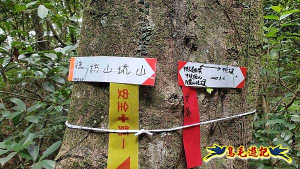 中坑橋-中坑古道西線-中坑西山-內盤山百年土地公廟-中坑古道-張家古厝P形 (67).jpg