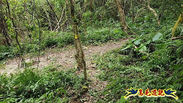 中坑橋-中坑古道西線-中坑西山-內盤山百年土地公廟-中坑古道-張家古厝P形 (69).jpg