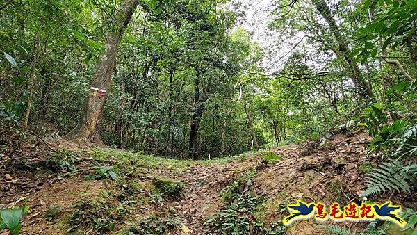 中坑橋-中坑古道西線-中坑西山-內盤山百年土地公廟-中坑古道-張家古厝P形 (66).jpg