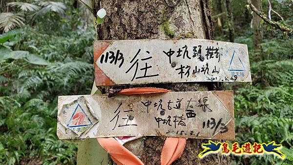 中坑橋-中坑古道西線-中坑西山-內盤山百年土地公廟-中坑古道-張家古厝P形 (70).jpg