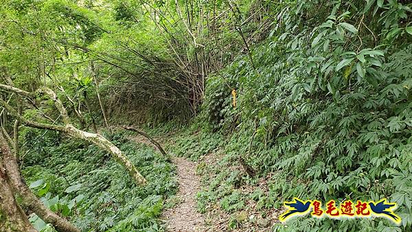 中坑橋-中坑古道西線-中坑西山-內盤山百年土地公廟-中坑古道-張家古厝P形 (71).jpg
