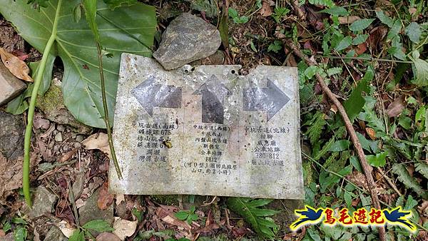 中坑橋-中坑古道西線-中坑西山-內盤山百年土地公廟-中坑古道-張家古厝P形 (73).jpg