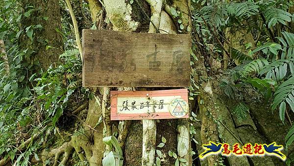 中坑橋-中坑古道西線-中坑西山-內盤山百年土地公廟-中坑古道-張家古厝P形 (75).jpg