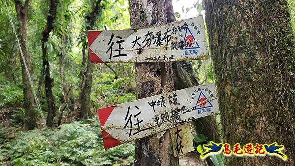 中坑橋-中坑古道西線-中坑西山-內盤山百年土地公廟-中坑古道-張家古厝P形 (78).jpg