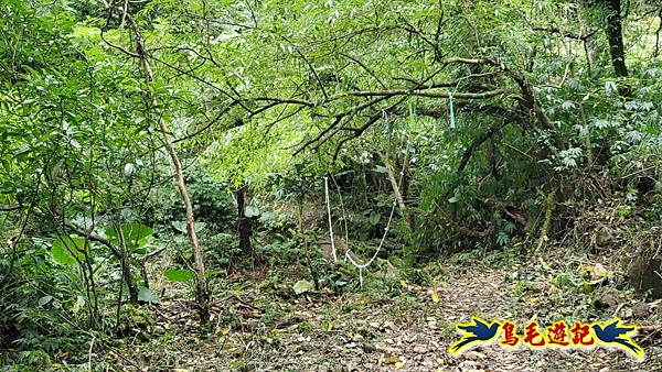 中坑橋-中坑古道西線-中坑西山-內盤山百年土地公廟-中坑古道-張家古厝P形 (89).jpg