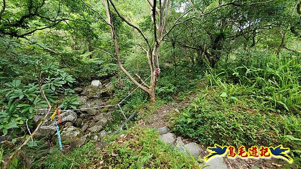 中坑橋-中坑古道西線-中坑西山-內盤山百年土地公廟-中坑古道-張家古厝P形 (94).jpg