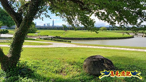 美堤河濱親水灣步道漸層花海 (2).jpg