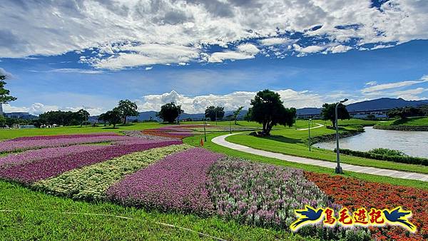 美堤河濱親水灣步道漸層花海 (9).jpg