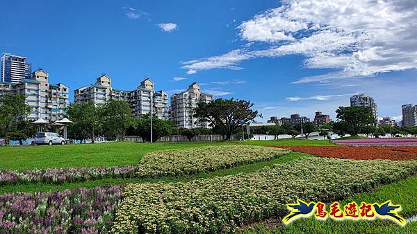 美堤河濱親水灣步道漸層花海 (24).jpg