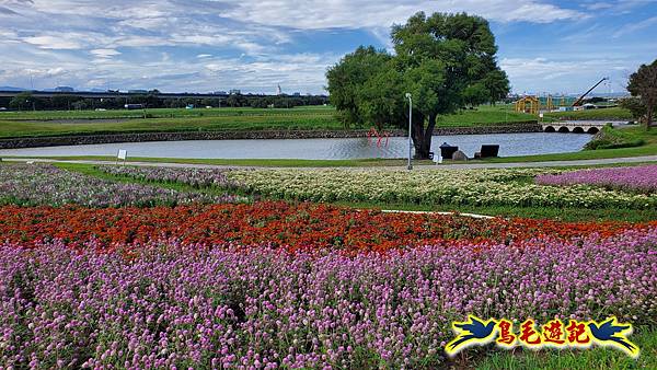 美堤河濱親水灣步道漸層花海 (21).jpg