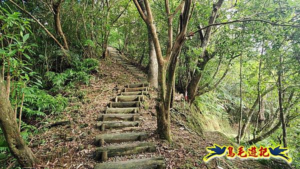 平湖西步道-內平林山-平湖東步道O形 (4).jpg 平湖西步道-內平林山-平湖東步道O形 (4).jpg