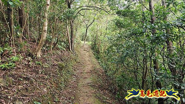平湖西步道-內平林山-平湖東步道O形 (6).jpg 平湖西步道-內平林山-平湖東步道O形 (6).jpg