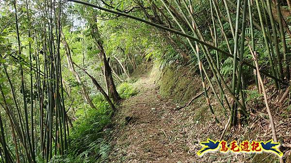 平湖西步道-內平林山-平湖東步道O形 (3).jpg