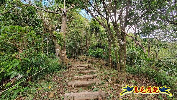 平湖西步道-內平林山-平湖東步道O形 (5).jpg