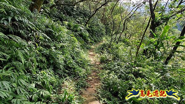 平湖西步道-內平林山-平湖東步道O形 (12).jpg 平湖西步道-內平林山-平湖東步道O形 (12).jpg