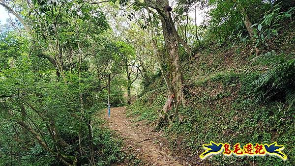 平湖西步道-內平林山-平湖東步道O形 (7).jpg