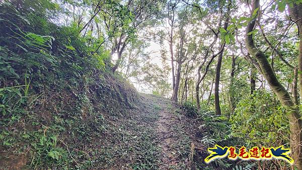 平湖西步道-內平林山-平湖東步道O形 (8).jpg 平湖西步道-內平林山-平湖東步道O形 (8).jpg