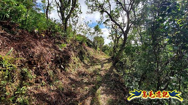 平湖西步道-內平林山-平湖東步道O形 (9).jpg