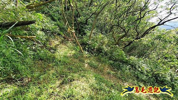 平湖西步道-內平林山-平湖東步道O形 (10).jpg 平湖西步道-內平林山-平湖東步道O形 (10).jpg