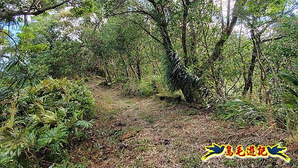 平湖西步道-內平林山-平湖東步道O形 (14).jpg 平湖西步道-內平林山-平湖東步道O形 (14).jpg