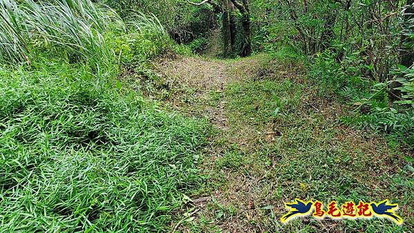 平湖西步道-內平林山-平湖東步道O形 (13).jpg
